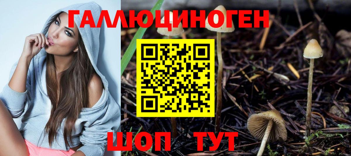 Псилоцибиновые грибы мицелий Анжеро-Судженск