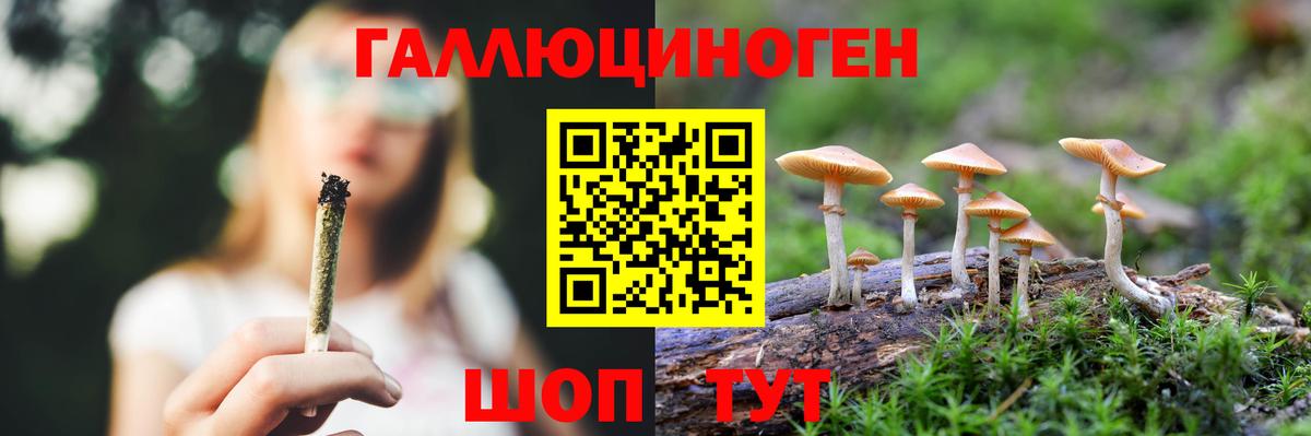 Анжеро-Судженск  Галлюциногенные грибы Psilocybine cubensis  Вход с VPN 